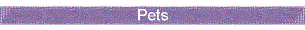 Pets